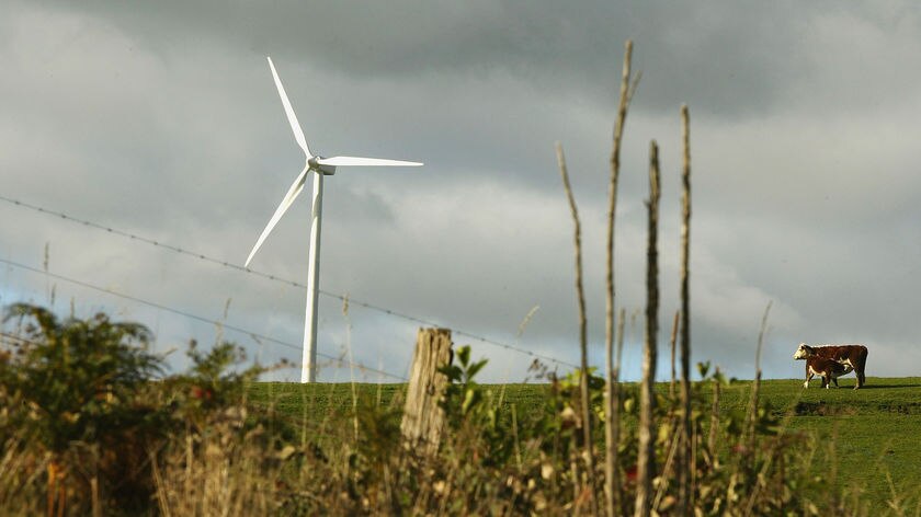 A wind farm wind turbine