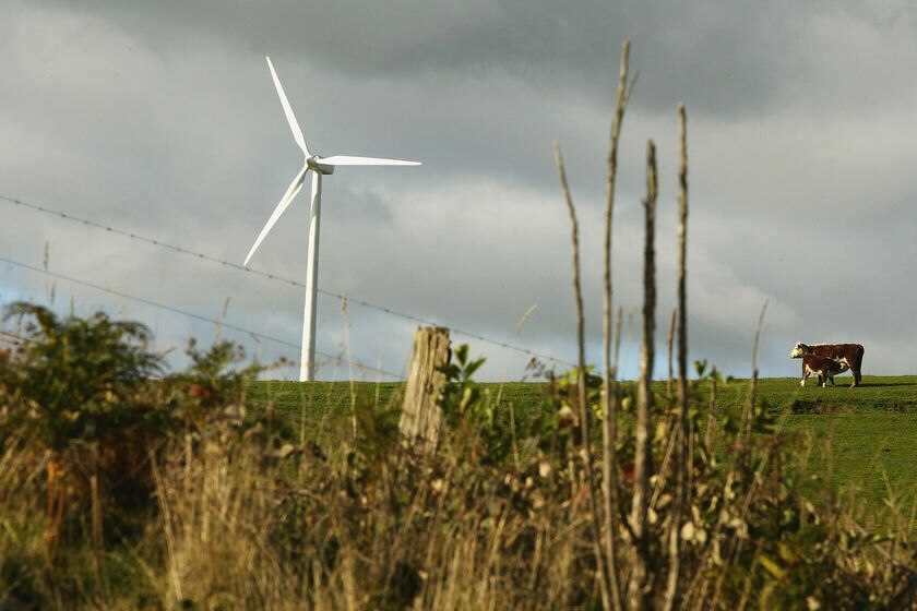 A wind turbine at Toora Wind Farm in Victoria (Robert Cianflone: Getty Images)