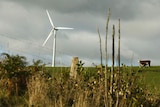 A wind turbine at Toora Wind Farm in the South Gippsland region of Victoria [File photo].
