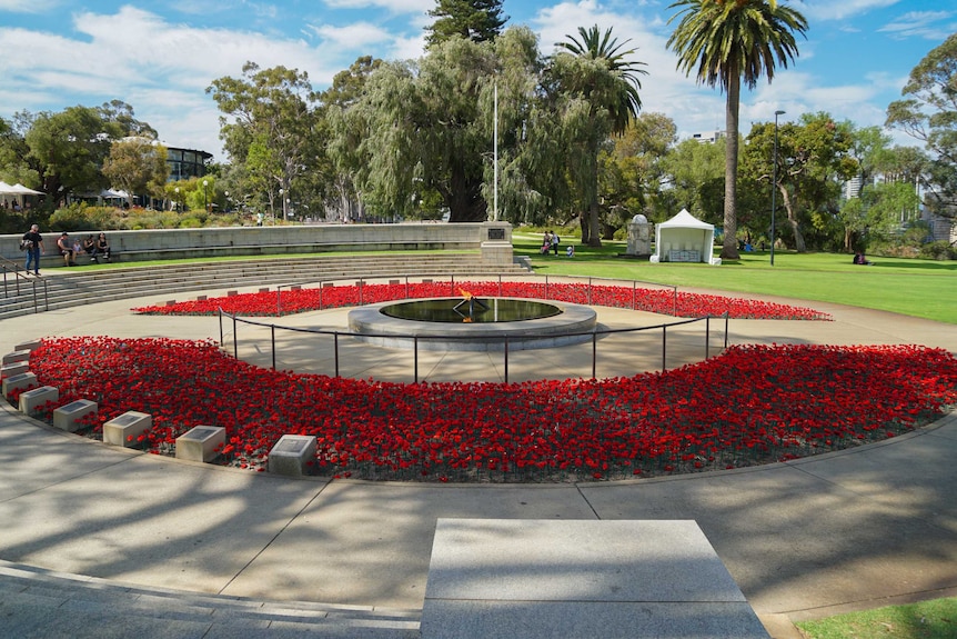 Poppies at Kings Park flame monument