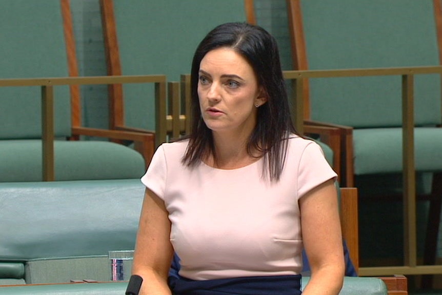Labor MP Emma Husar launched defamation proceedings against Buzzfeed