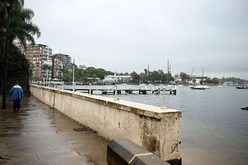 A general view of the foreshore at Elizabeth Bay on Sydney Harbour