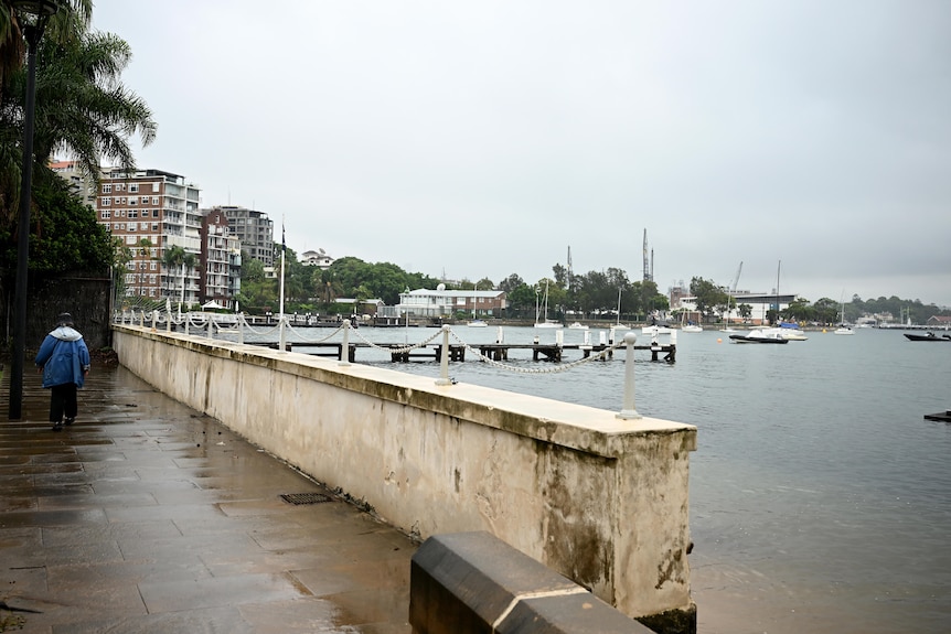 A general view of the foreshore at Elizabeth Bay on Sydney Harbour