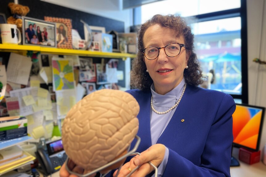 Woman with glasses and blue blazer smiles while holding brain model in office