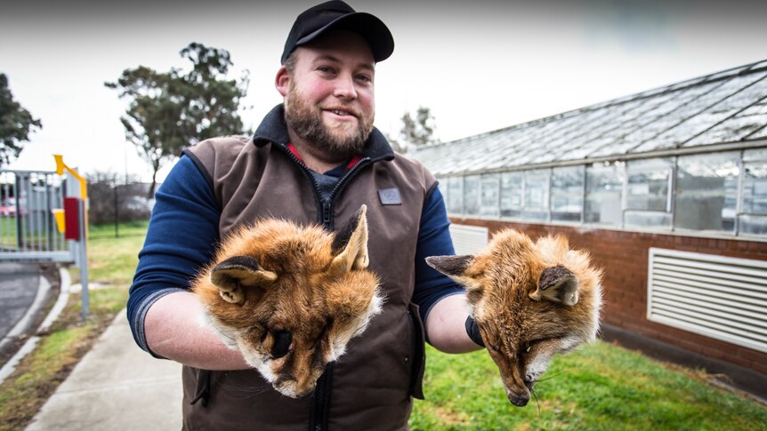Jeremy Preece says he keeps his fox scalps in an esky to keep the smell down