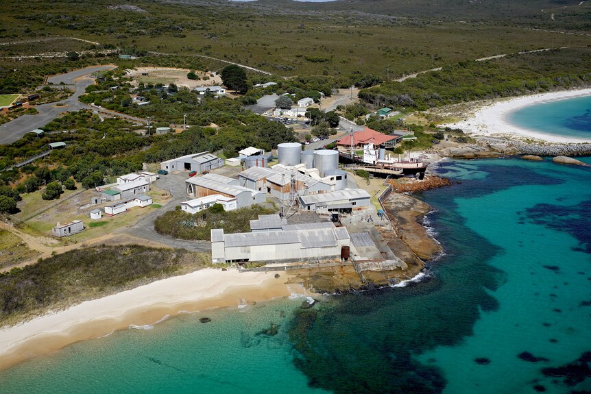 An aerial photo of the beach and whaling station.