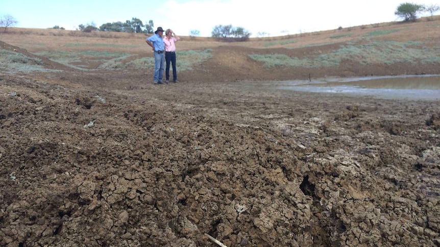 Peter and Elizabeth Clark in the dried out dam on their property near Longreach yesterday.