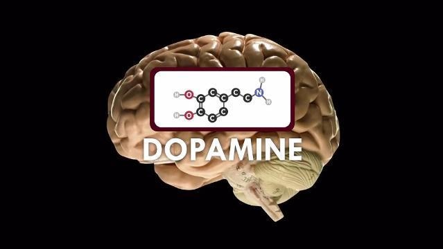 Brain with image overlaid of dopamine chemical structure