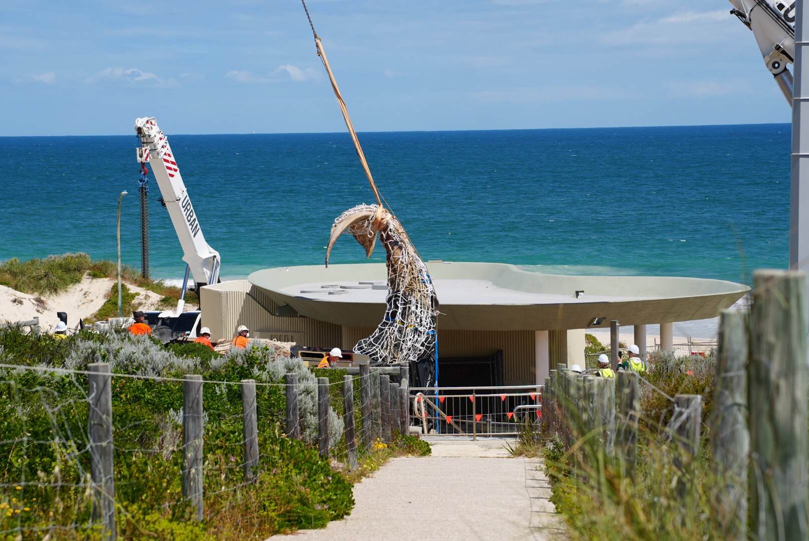 A wide shot of a humpback whale carcass, in a tarpauline and net, lifted in the air above a truck by a crane at a beach.