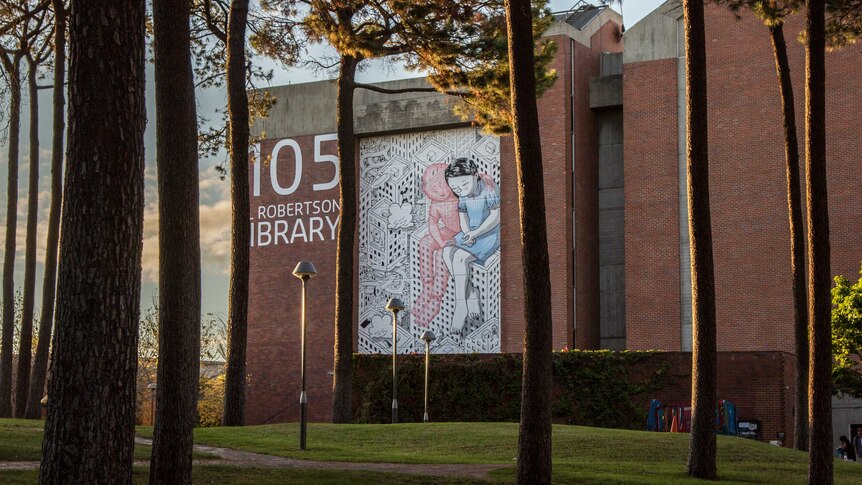 Italian artist Millo's two story mural at Curtin University's Robertson Library.