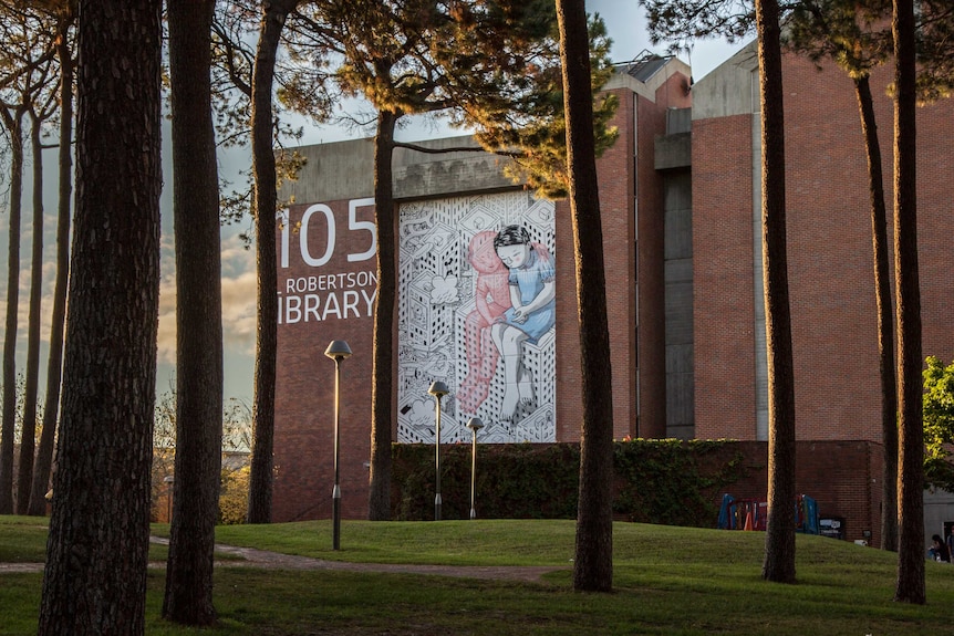 Italian artist Millo's two storey mural at Curtin University's Robertson Library.