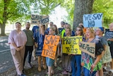 group of people stand in front of trees holding signs that say save the trees and we say no