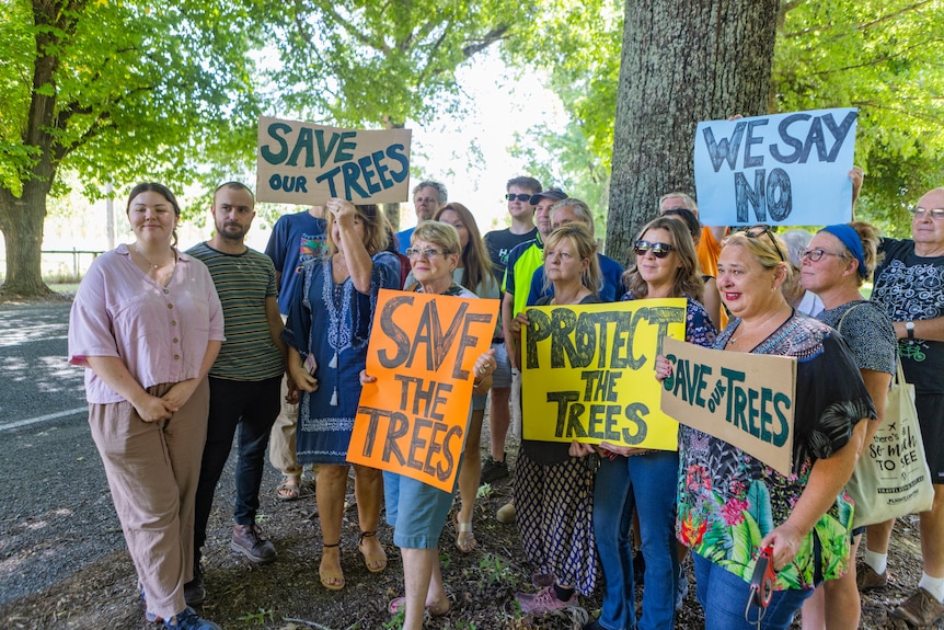 group of people stand in front of trees holding signs that say save the trees and we say no