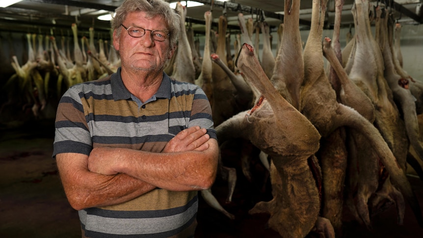 Man standing with arms folded. Behind him are dozens of kangaroo carcasses hanging by their legs.