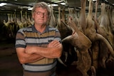 Man standing with arms folded. Behind him are dozens of kangaroo carcasses hanging by their legs.