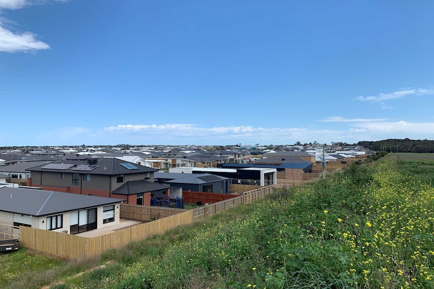 Homes backing onto green grassland and shrubs under a blue sky.