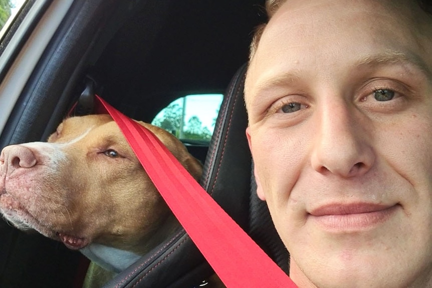 Carlo Piero Stewart sits in the front seat of a car with a dog behind him.