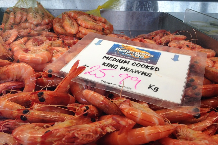 Fresh medium king prawns for sale at the Ballina Fishermen's Co-operative.