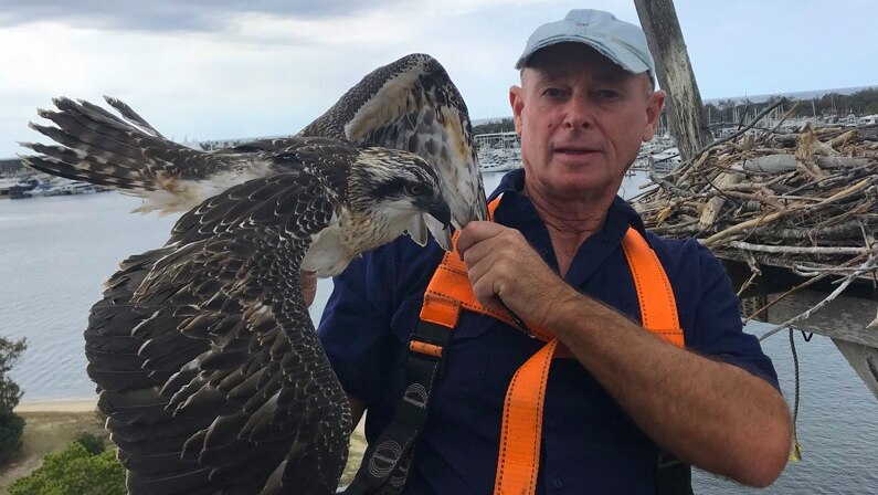 A man holding a young osprey.