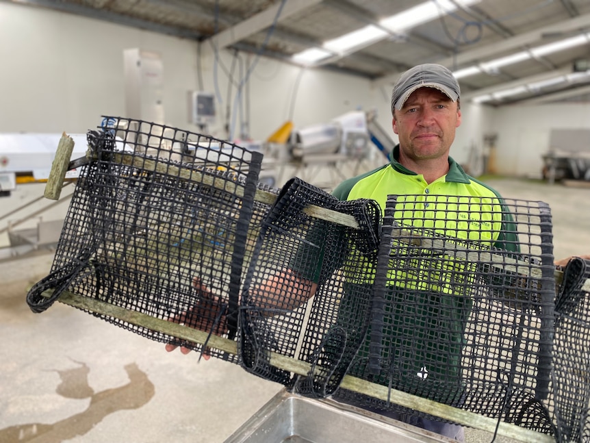 St Helens oyster farmer Dan Roden with old oyster baskets.