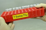 Swine flu influenza test vials