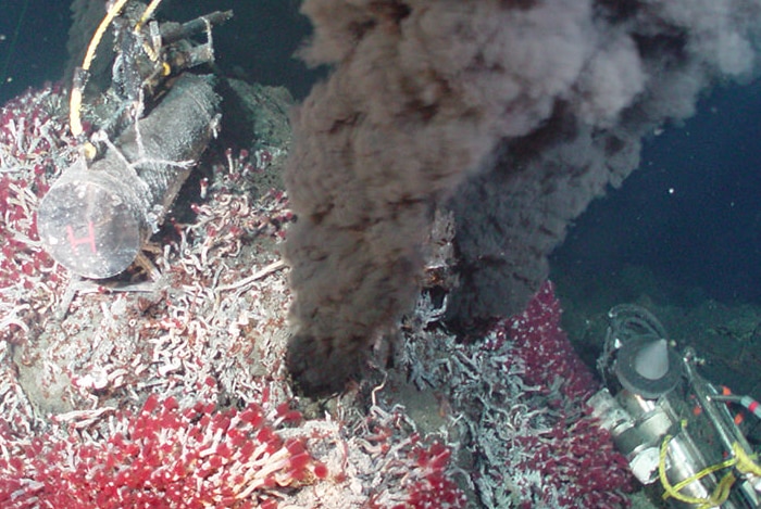 Hydrothermal vents surrounded by a tubeworm colony.
