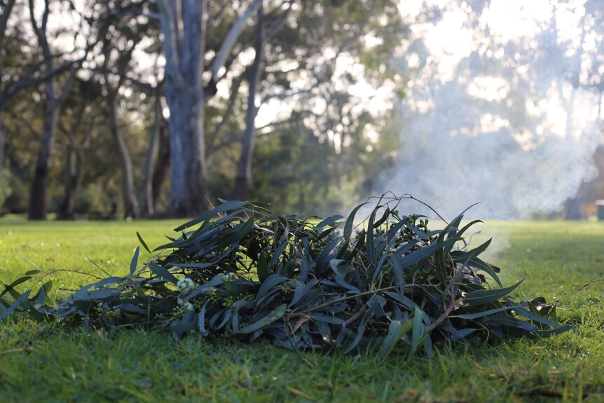 White smoke rises above a small pile of sticks and leaves used for a smoking ceremony on a sunny morning. 