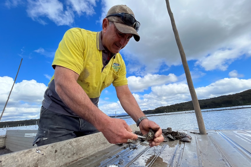 A man shucks oysters on the end of a boat