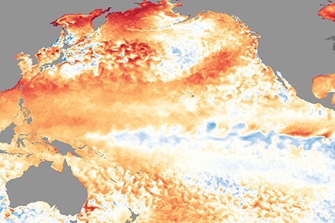 Image of the pacific Ocean with red and blue swirls indicating sea surface temperatures