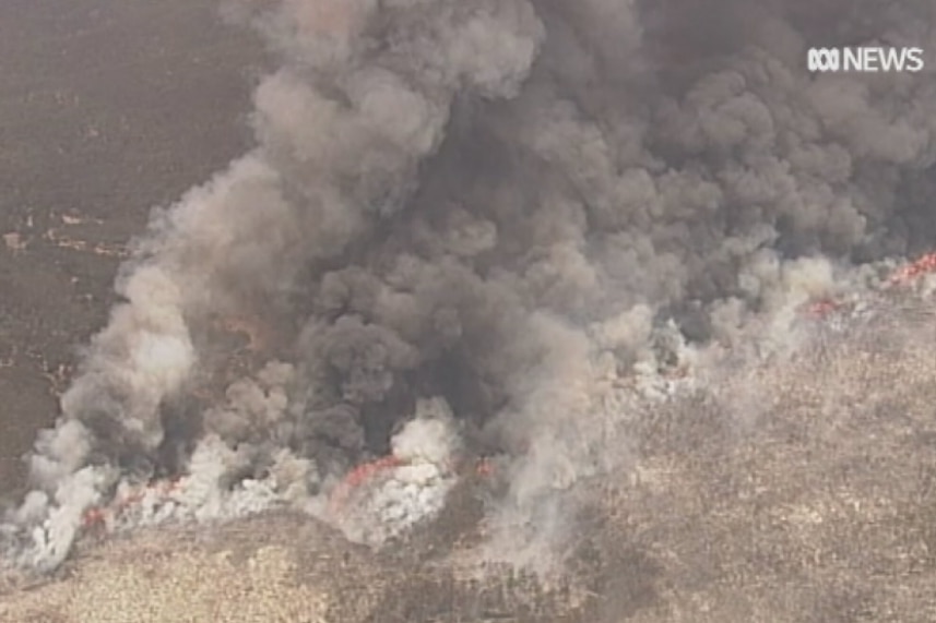 Smoke coming off land from the air