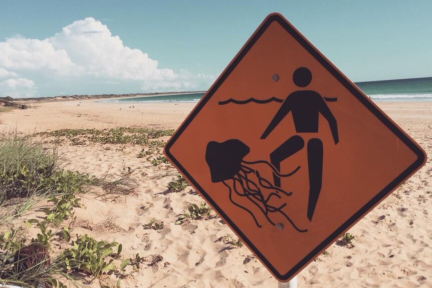 A picture of a jellyfish sign on a beach