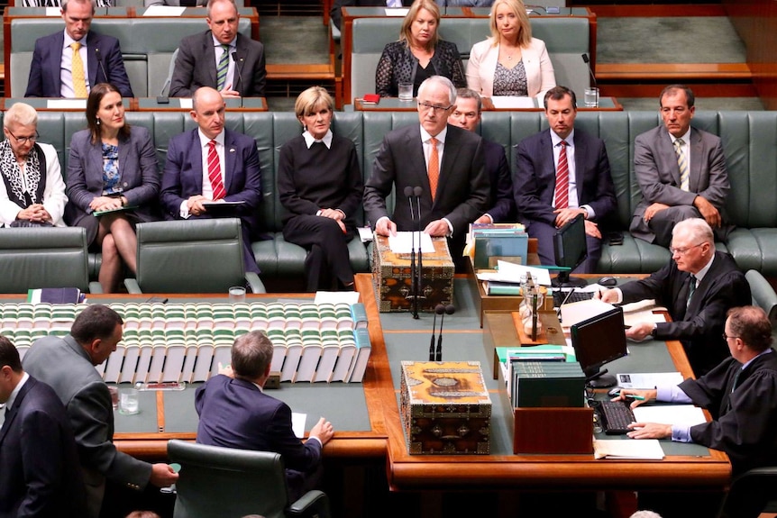 Malcolm Turnbull addresses the House of Representatives on Australia's response to Islamic State, November 24, 2015.