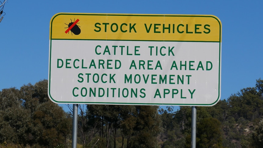 Sign stating: Cattle tick declared area ahead stock movement conditions apply