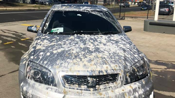 A car totally covered in bird droppings.