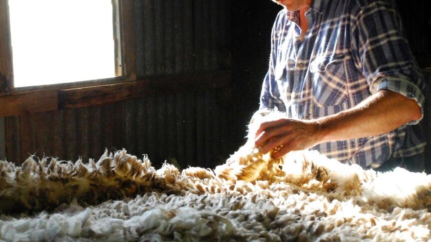 Classing wool