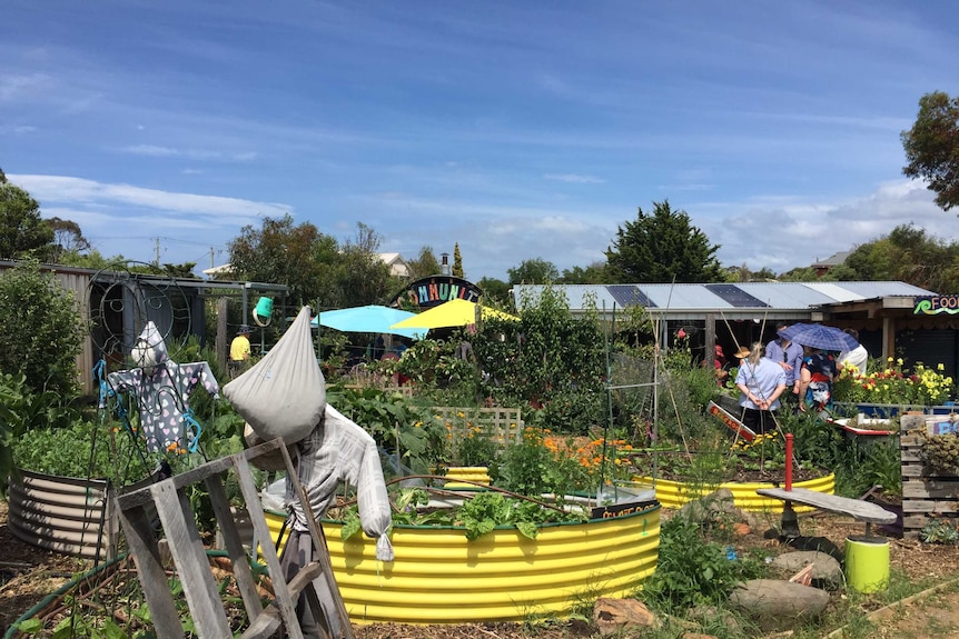 Community garden at Dodges Ferry