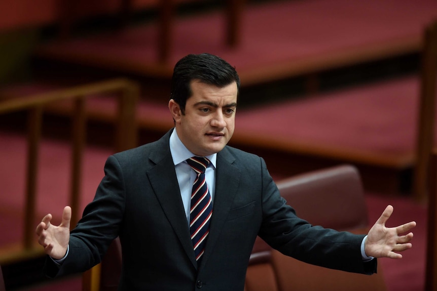 Labor senator Sam Dastyari in the Senate