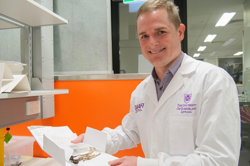 A smiling man in a lab coat holds dried mushrooms on cardboard.