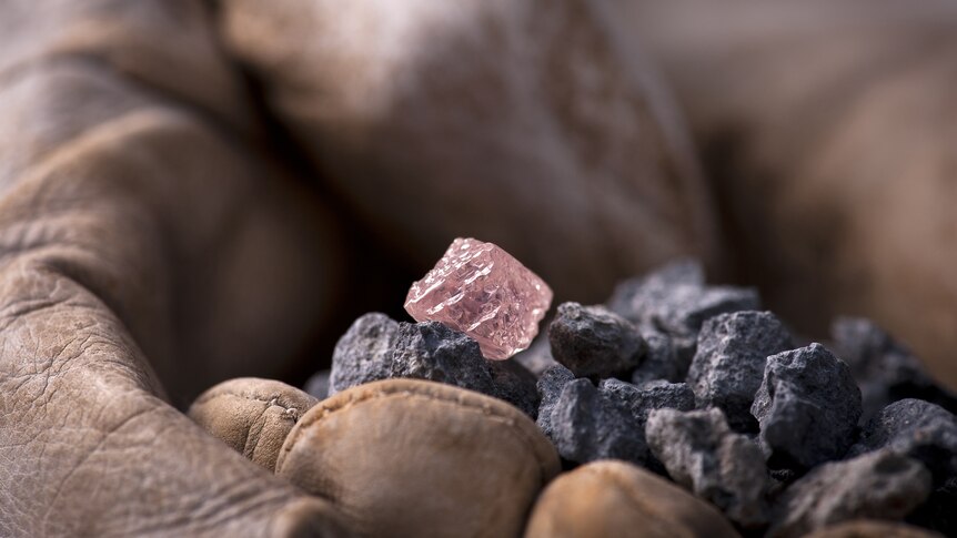 The pink diamond rests on a gloved hand