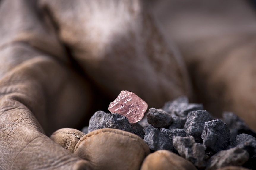 The pink diamond rests on a gloved hand