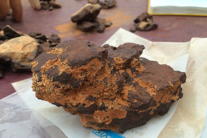 The largest chunk of a 1.8 kilogram meteorite the researchers found scattering in more than 100 pieces in the desert.