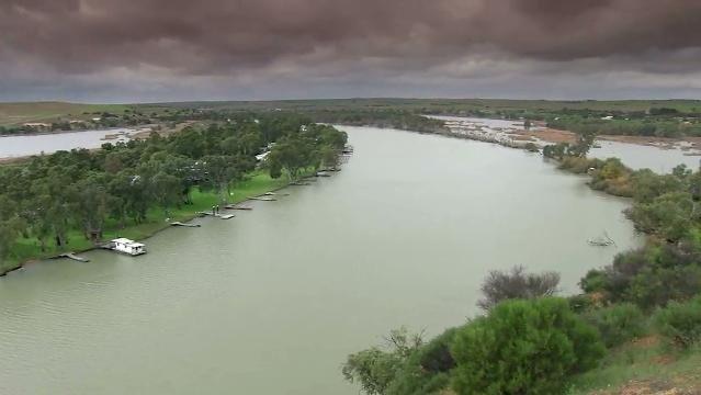 Aerial view of Murray River