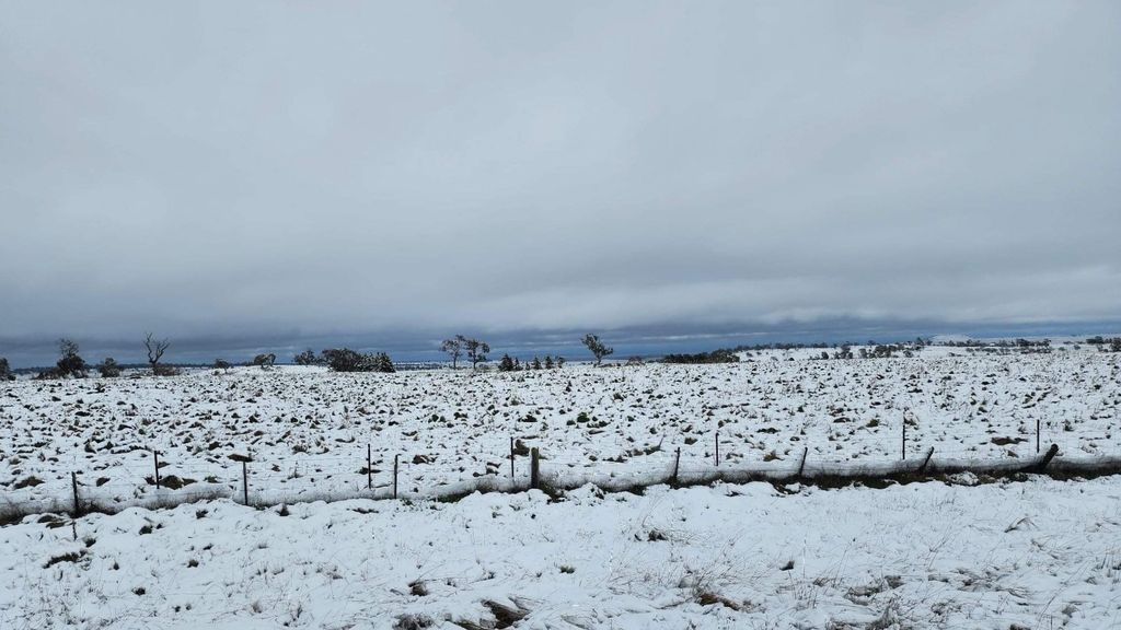 Snow Dump in NSW Snowy Mountains - ABC News