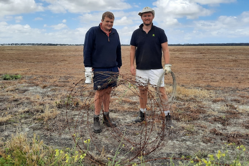 Two men stand next to each other in a paddock