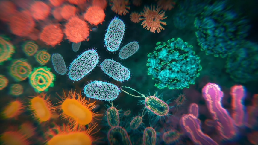 A microscopic image of different microbes