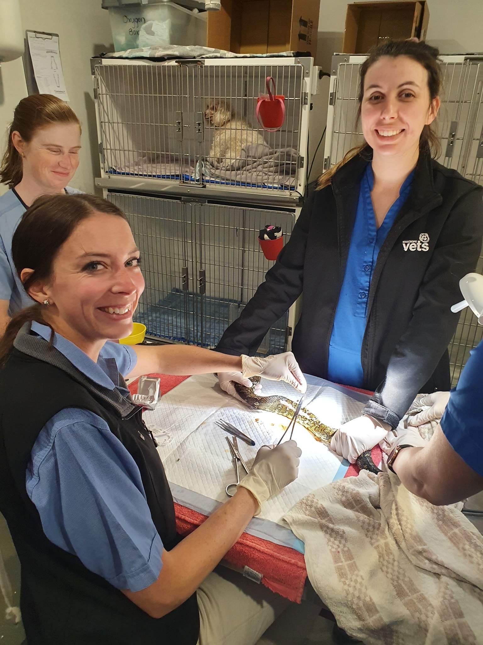 Wauchope 2446 Location ABC News