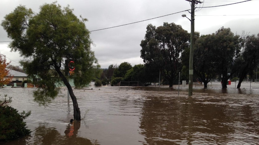 Flooding in Newstead