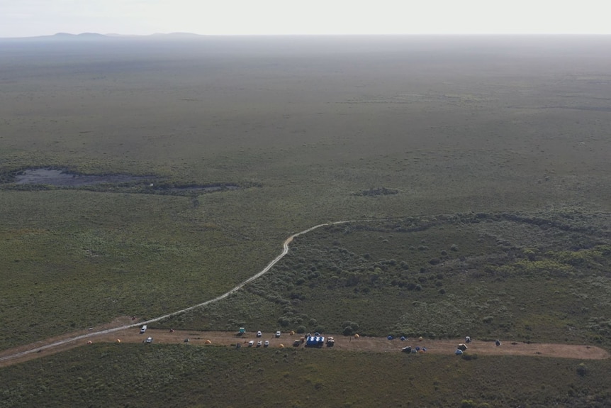 Wildlife officers captured ground parrots from the remote Cape Arid National Park.