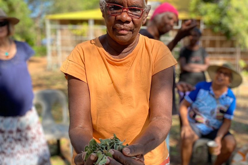 An Indigenous woman with an orange bandana and shirt holds a bunch of cockroach bush