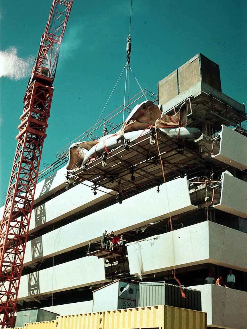 The whale bones are raised on a platform with a crane in front of the building.